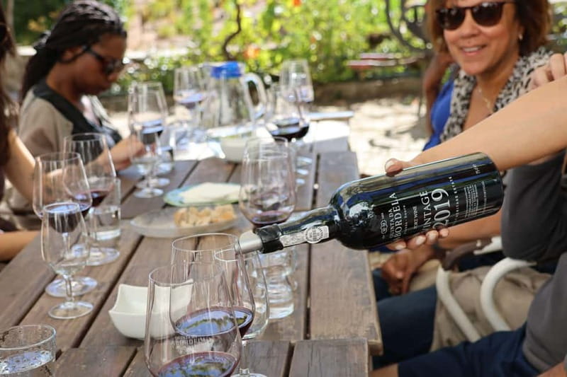 Porto: Douro Valley Wine Tour with Tastings, Lunch & Cruise - Key points to know before booking