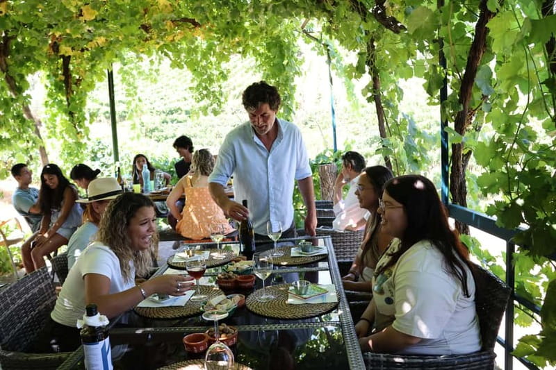 Porto: Douro Valley Wine Tour with Tastings, Lunch & Cruise - The N222 and the second family estate