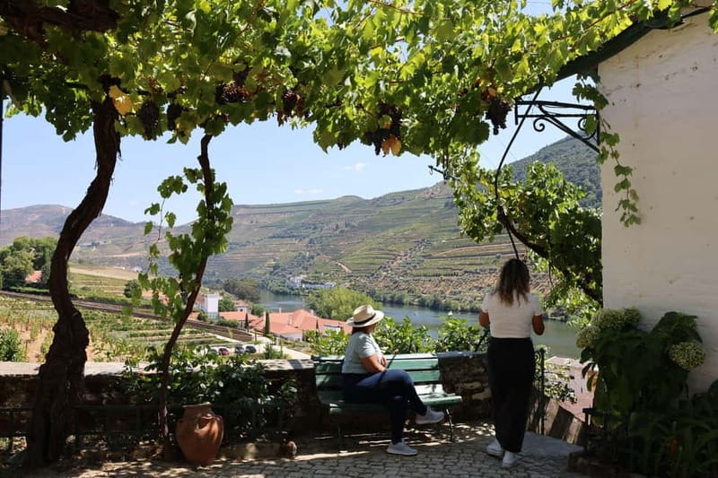 Porto: Douro Valley Wine Tour with Tastings, Lunch & Cruise - Transport, timing, and group size