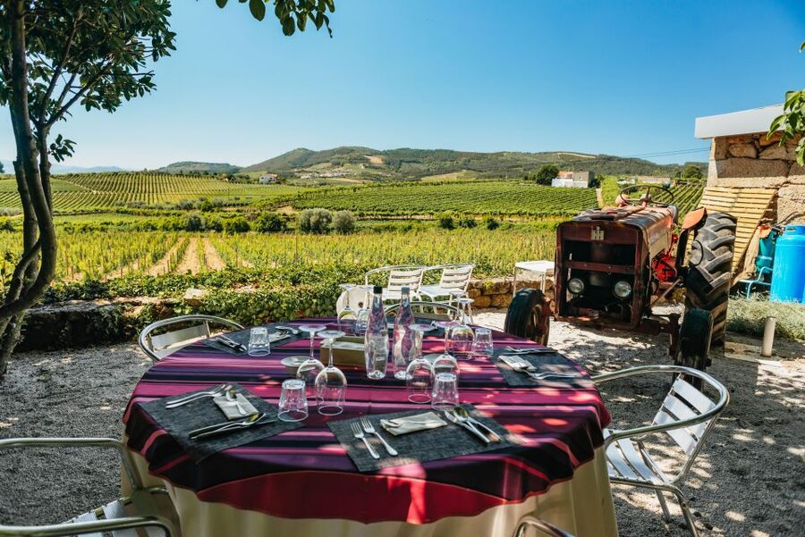 Porto: Douro Valley with Winery Lunch, Tastings & Cruise - Is $99 a fair price?