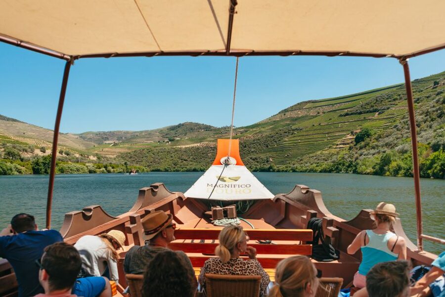 Porto: Douro Valley with Winery Lunch, Tastings & Cruise - The return on the N222