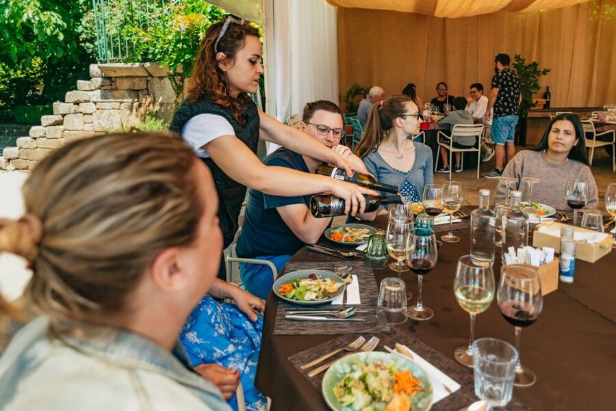 Porto: Douro Valley with Winery Lunch, Tastings & Cruise - Starting beside Porto Cathedral