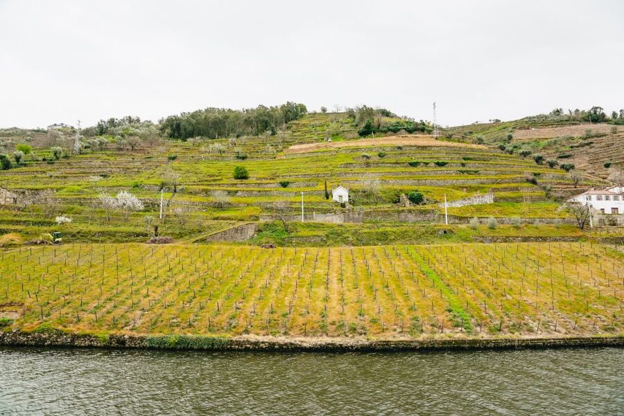 Porto - Régua - Porto Upstream Douro Cruise & Tour - The two locks are the day’s big mechanical show
