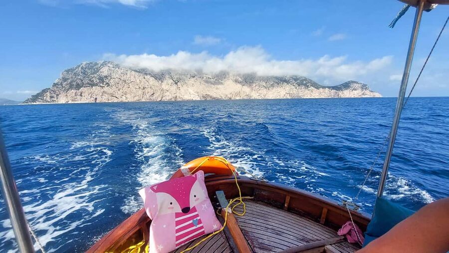 Porto San Paolo: Half Day Boat Tour to Tavolara and Molara - Who will enjoy this tour most
