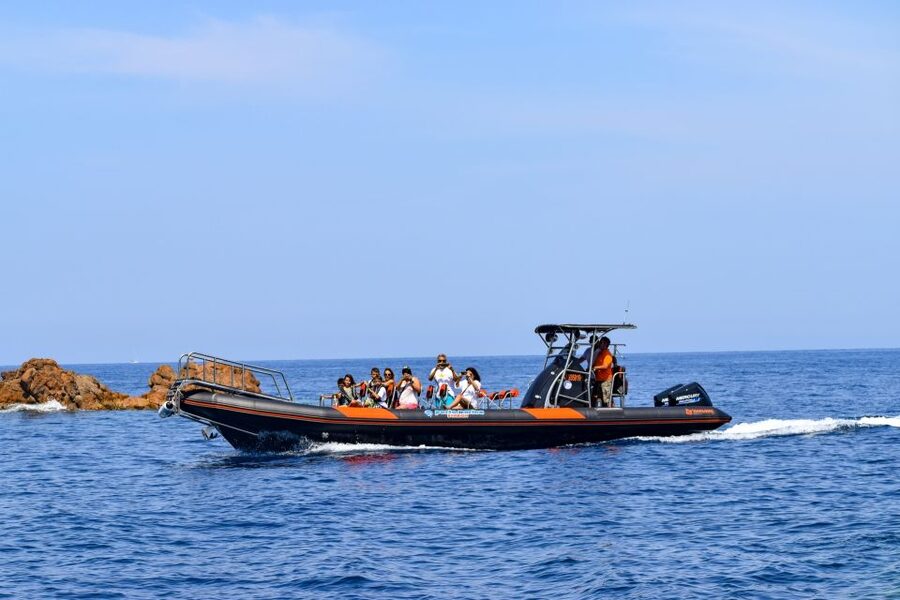 Porto: Scandola and Calanches of Piana Boat Trip - Should you book it?