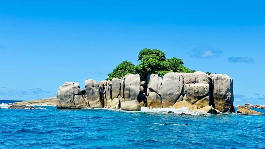 Praslin: Curieuse & St-Pierre Boat Adventure with Snorkeling - Meeting the giant tortoises at Laraie Bay