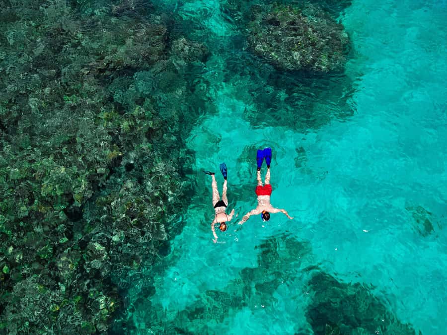 Praslin: Curieuse & St. Pierre Full-Day Boat Trip with Lunch - St. Pierre turns the boat trip into a snorkeling day