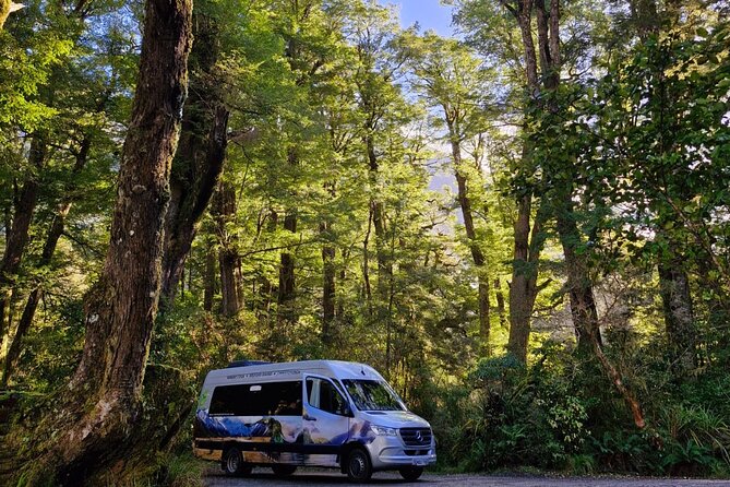 Premium Milford Sound Small Group Tour & Cruise from Queenstown - Lake Gunn and the Hollyford River