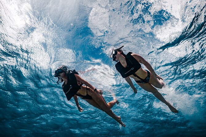 Premium Morning Snorkel Sail with Champagne Brunch - A 9 a.m. Start at Pelican Pier