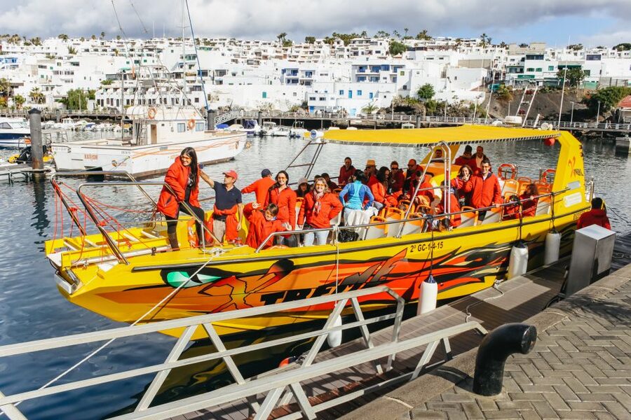 Puerto del Carmen: Dolphin-Watching Speedboat Tour with Swim - Searching for dolphins, whales, and other sea life