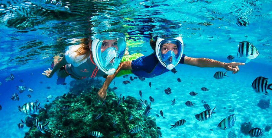 Puerto del Carmen: Dolphin-Watching Speedboat Tour with Swim - Who should book this Puerto del Carmen trip?