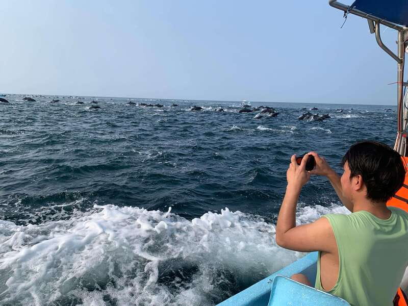 Puerto Escondido: Boat Tour to see Dolphins and Marine Life - At a glance