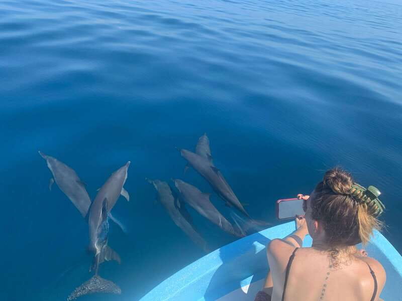 Puerto Escondido: Boat Tour to see Dolphins and Marine Life - Searching for dolphins in open water