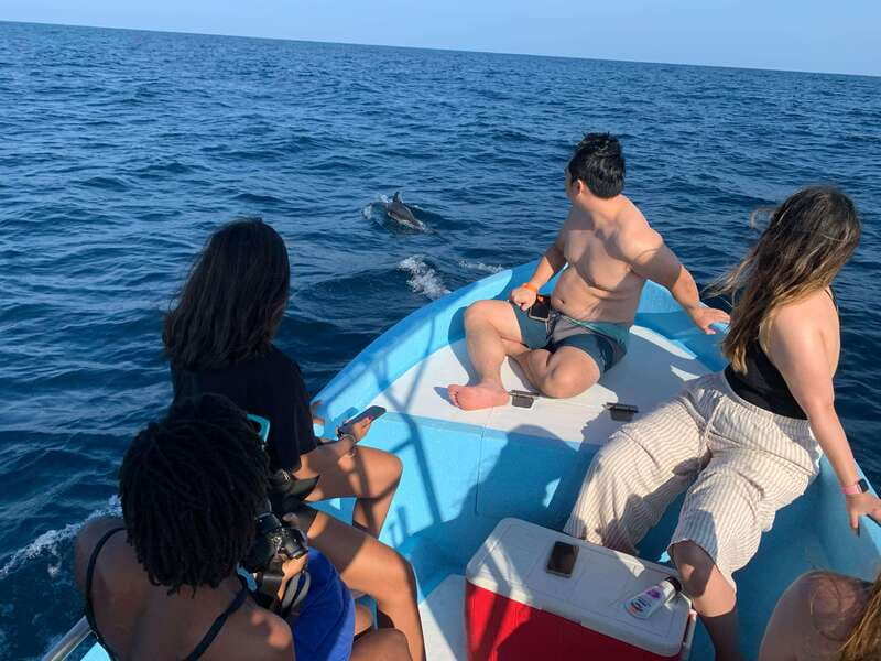 Puerto Escondido: Boat Tour to see Dolphins and Marine Life - Comfort, group size, and the boat atmosphere