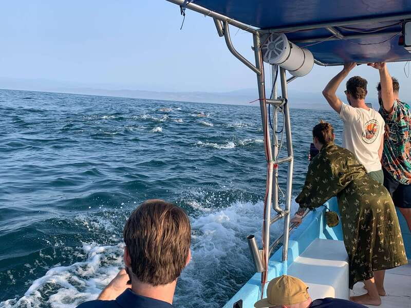 Puerto Escondido: Boat Tour to see Dolphins and Marine Life - Starting at Puerto Angelito Beach