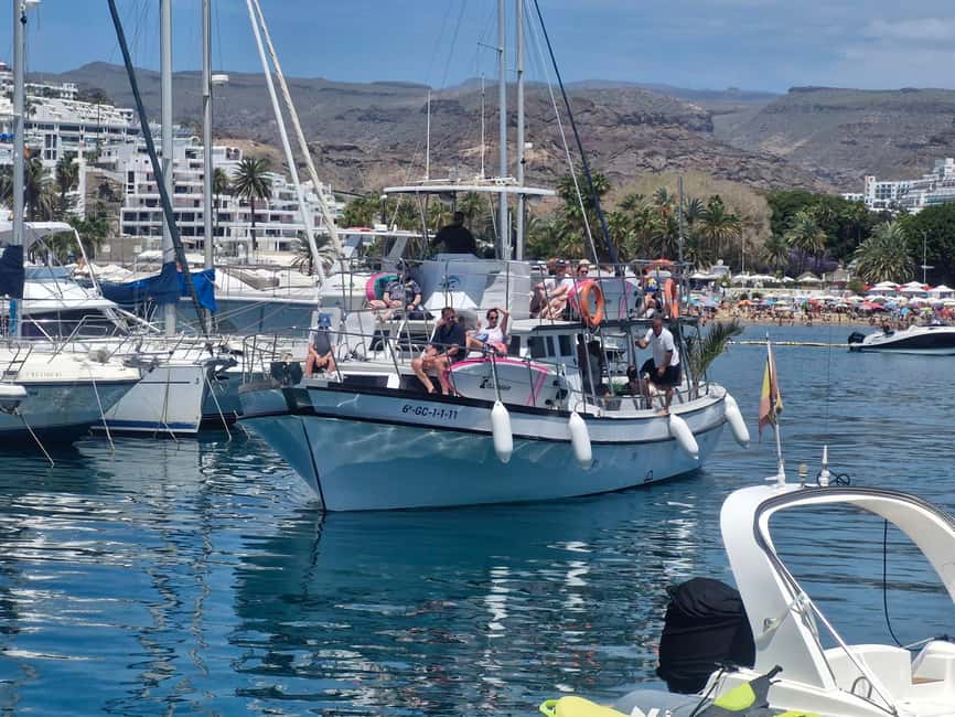Puerto Rico, Gran Canaria: boat trip, drinks, food, paddle surfing, snorkeling - Group size, comfort, and the overall pace
