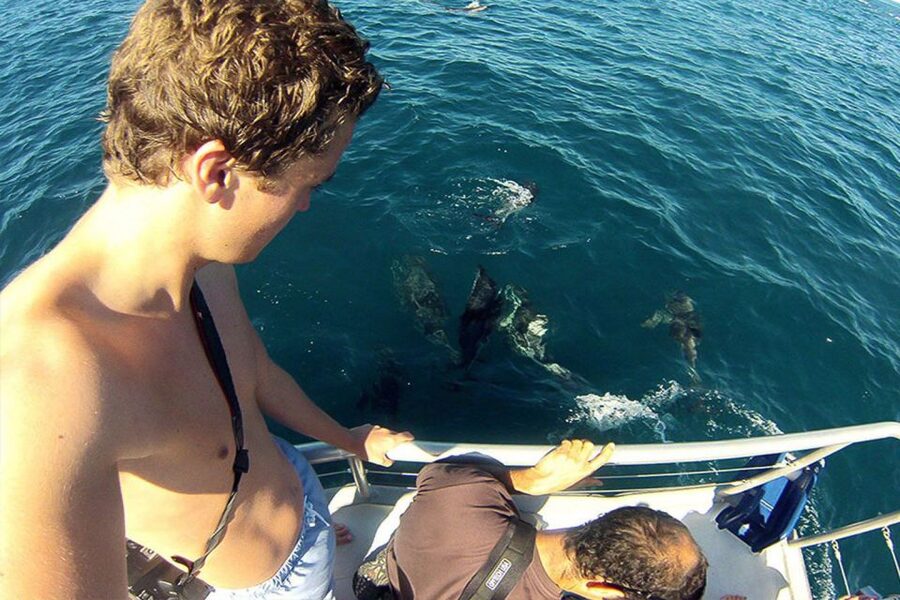 Pula: Brijuni Islands Dolphin Watching & Wildlife Cruise - Drinks included, food arranged separately