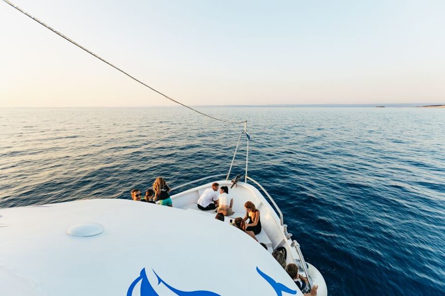 Pula: Dolphin&Sunset Cruise in Brijuni with Dinner&Drinks - What $64 gets you