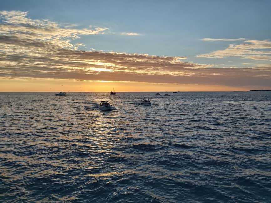 Pula: Dolphin Sunset Cruise to Brijuni with Dinner & Drinks - Key points to know before sailing