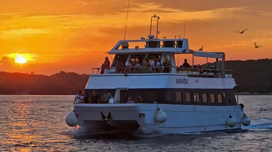 Pula: Dolphin Sunset Cruise to Brijuni with Dinner & Drinks - From Pula harbor to the open Adriatic