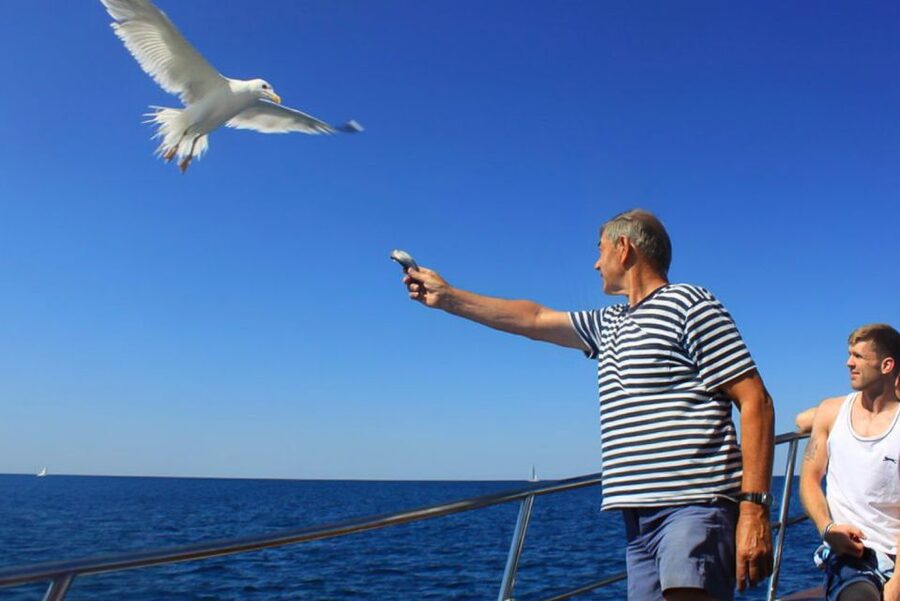 Pula: Dolphin Watching Sunset Cruise with Dinner & Drinks - Dolphin watching without a guaranteed show