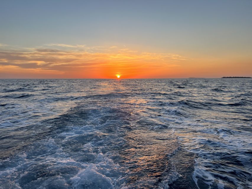 Pula: Dolphin Watching Sunset Cruise with Dinner & Drinks - What $65 really gets you