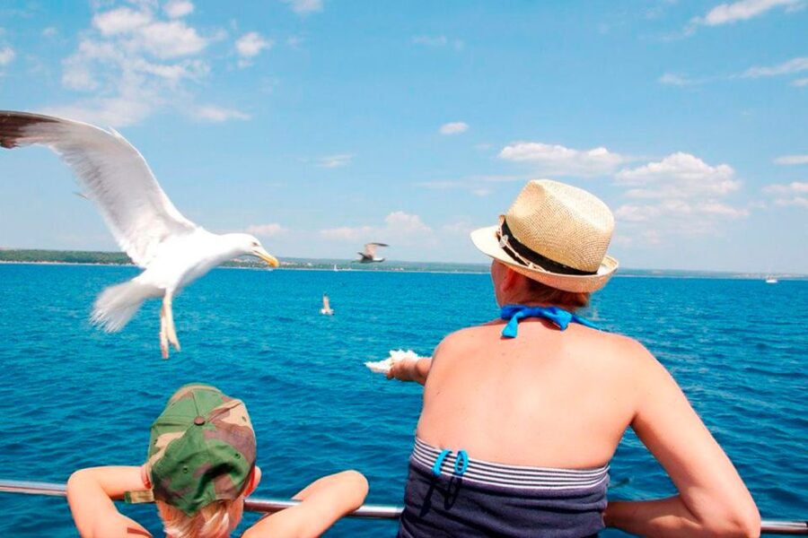 Pula: National Park Brijuni Island Visit & Dolphin Cruise - Sunset and the return to Pula