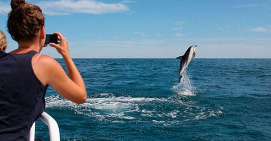 Pula: National Park Brijuni Island Visit & Dolphin Cruise - Boarding in Pula and settling onto the Korkyra