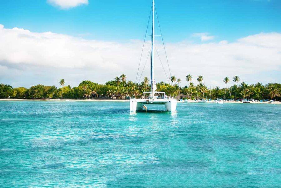 Punta Cana: Catamaran Boat to Saona Island with Buffet Lunch - The natural pool and its starfish