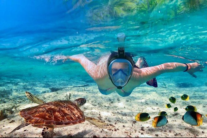 Punta Cana Combo Tour: Snorkeling, Catamaran Cruise & Parasailing - Drinks, Equipment, and What to Pack