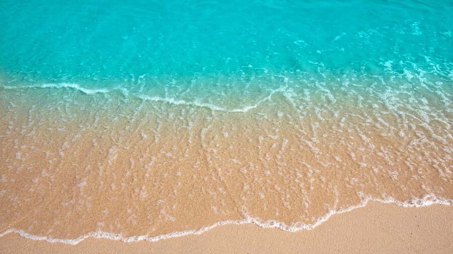 Punta Cana: Saona Island Catamaran Tour with Food & Open Bar - Guides, music, and the human side of the day