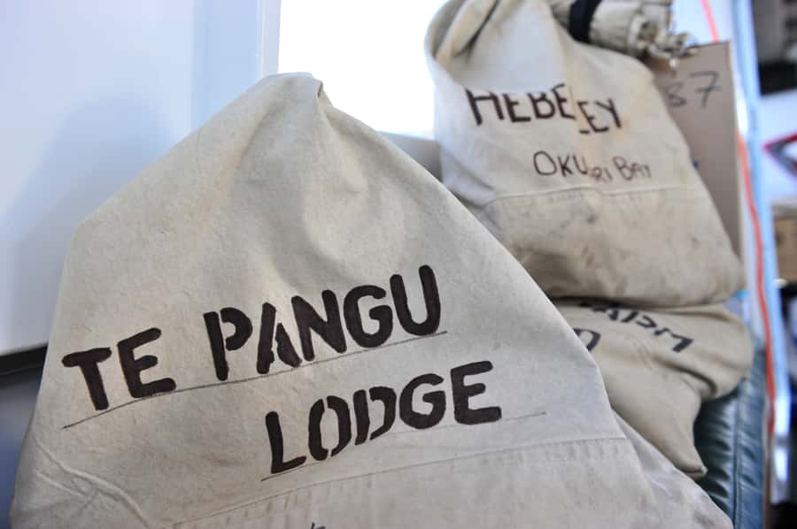 Queen Charlotte Sound Mail Boat Cruise from Picton - Key points before you book