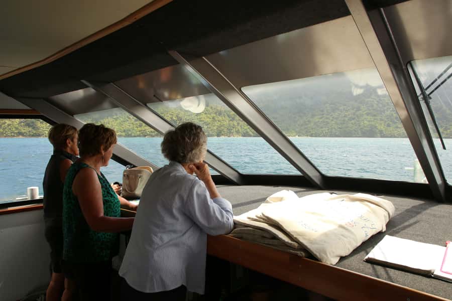 Queen Charlotte Sound Mail Boat Cruise from Picton - What the scenery feels like over four hours