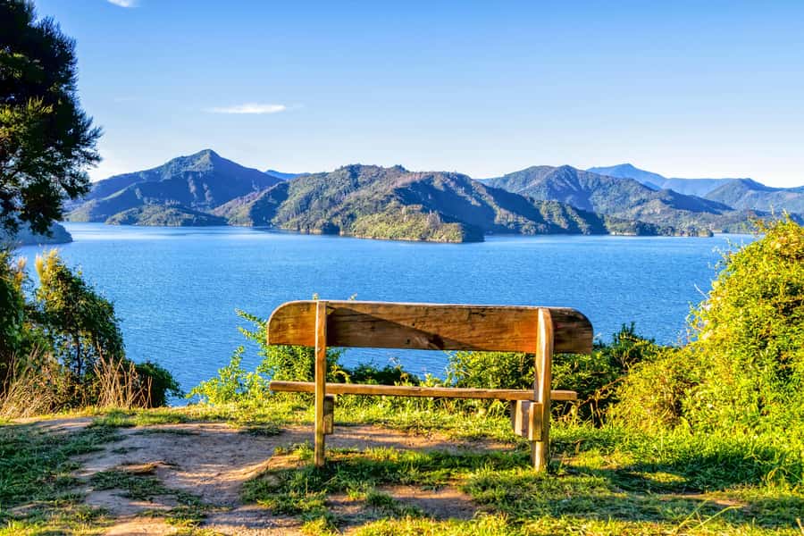 Queen Charlotte Track: Cruise & Self-Guided Hike from Picton - Key points at a glance