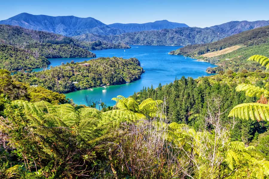 Queen Charlotte Track: Cruise & Self-Guided Hike from Picton - Starting in Picton and heading into the sounds