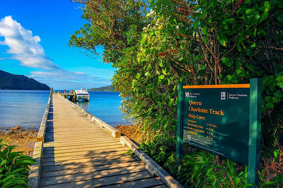 Queen Charlotte Track: Cruise & Self-Guided Hike from Picton - The 17-kilometer Ship Cove to Furneaux Lodge walk