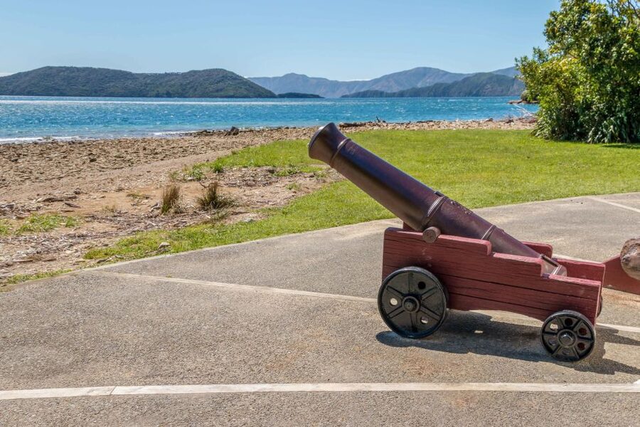 Queen Charlotte Track: Cruise & Self-Guided Hike from Picton - Furneaux Lodge, Punga Cove, and the return boat