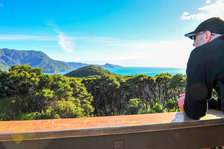 Queen Charlotte Track: Cruise & Self-Guided Hike from Picton - Value at $66