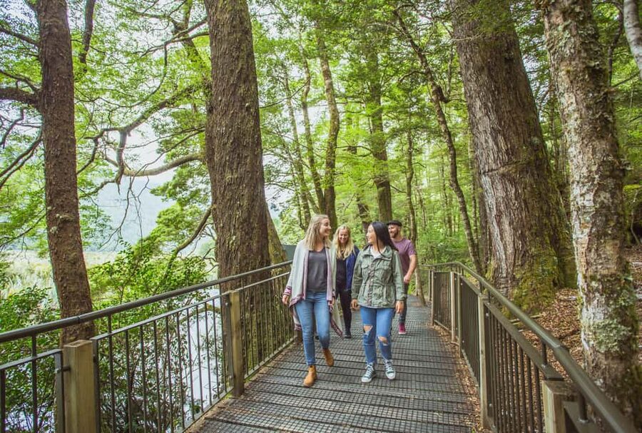 Queenstown: Milford Sound Coach & Cruise Full-Day Trip - Key Points Before You Book