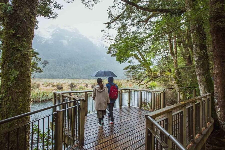Queenstown: Milford Sound Coach & Cruise Full-Day Trip - Lunch, Tea, and Onboard Comfort