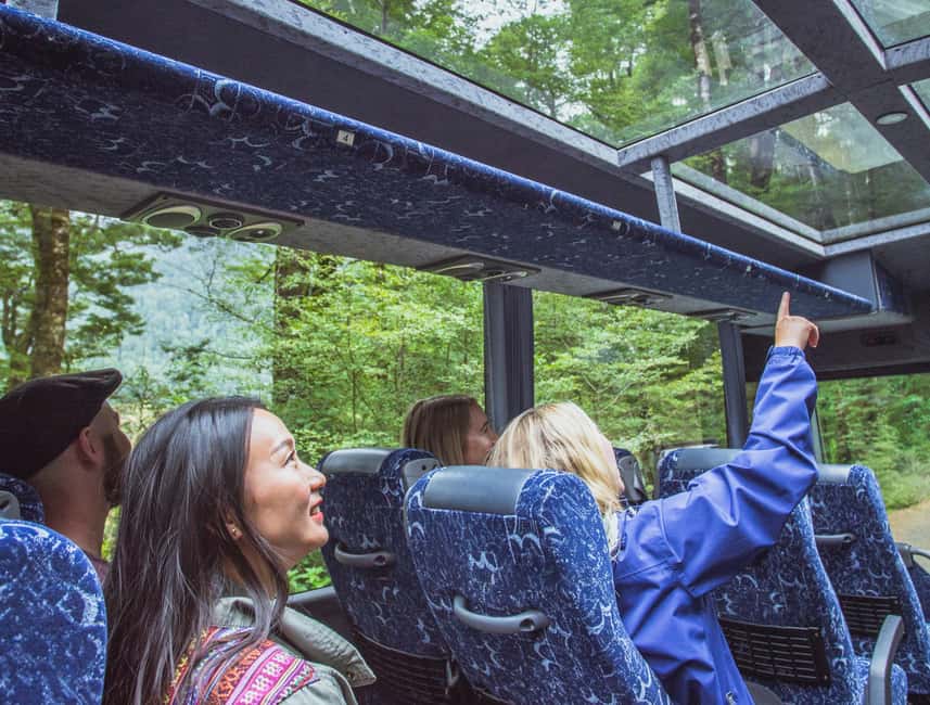 Queenstown: Milford Sound Coach & Cruise Full-Day Trip - The Coach Ride to Te Anau and Fiordland