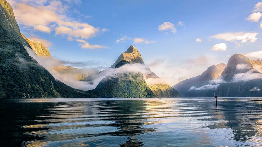 Queenstown: Milford Sound Small-Group Tour w Cruise & Lunch - Why This Milford Sound Tour Works From Queenstown