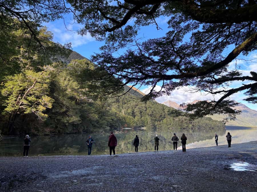 Queenstown: Milford Sound Small-Group Tour w Cruise & Lunch - Homer Tunnel Leads to the Best Reveal of the Day