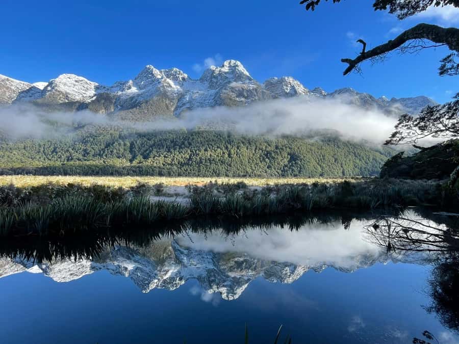 Queenstown: Milford Sound Small-Group Tour w Cruise & Lunch - Is the Scenic Flight Upgrade Worth Considering?