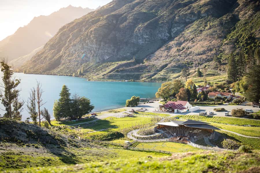 Queenstown: Queenstown Lake Cruise and Walter Peak Farm Tour - Meeting sheep, alpacas, cattle, and farm dogs