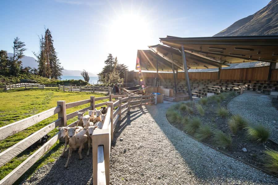 Queenstown: Queenstown Lake Cruise and Walter Peak Farm Tour - Is the tour good value at its listed price?