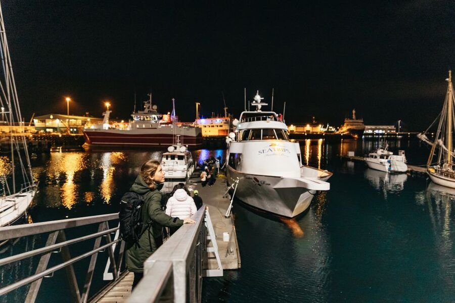 Reykjavik: Northern Lights Yacht Tour - Is two hours enough?