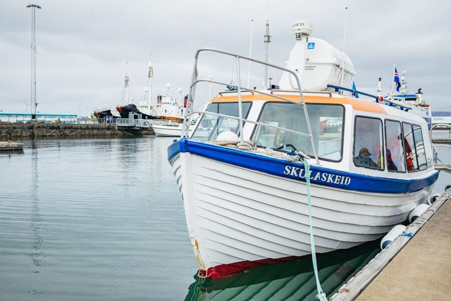 Reykjavik: Puffin Watching Boat Tour - The guide and captain shape the experience
