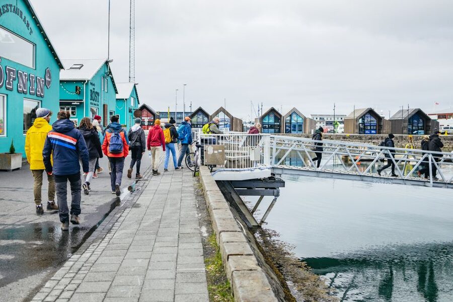 Reykjavik: Puffin Watching Boat Tour - Is $64 a fair price for one hour?