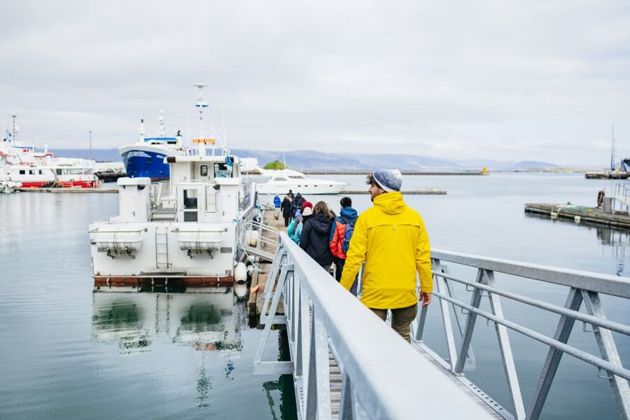 Reykjavik: Puffin Watching Boat Tour - What the ride feels like for families and older passengers